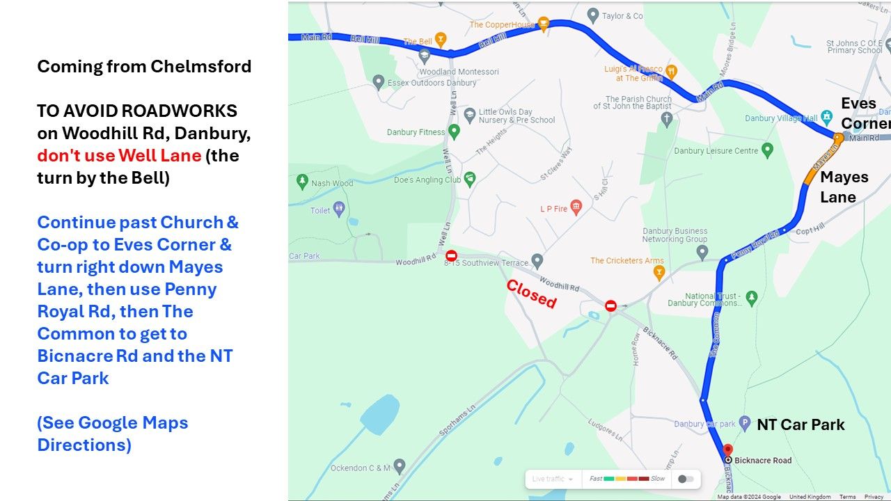 Diversion Map; ©️ 2024 Google Maps