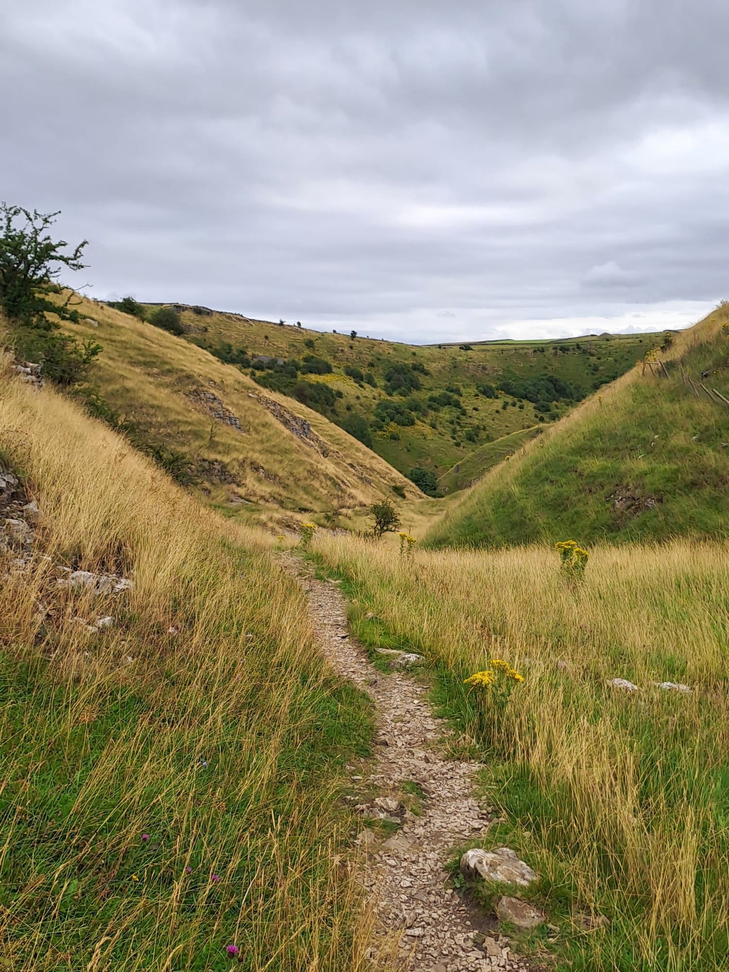 Hills and valleys from Tansley Dale