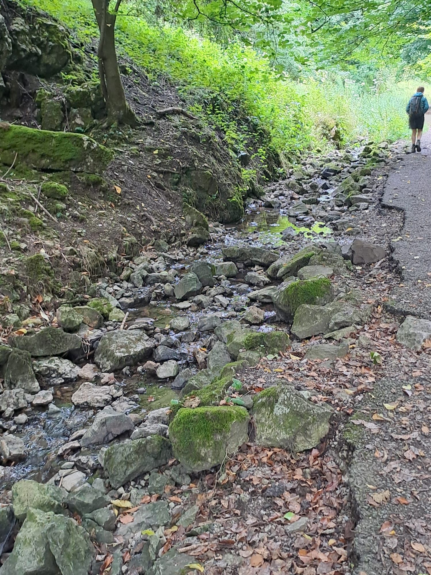 Brook at Millers Dale
