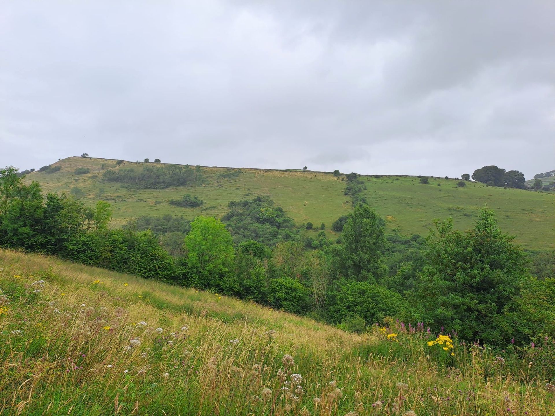Panoramic view from top of Millers Dale