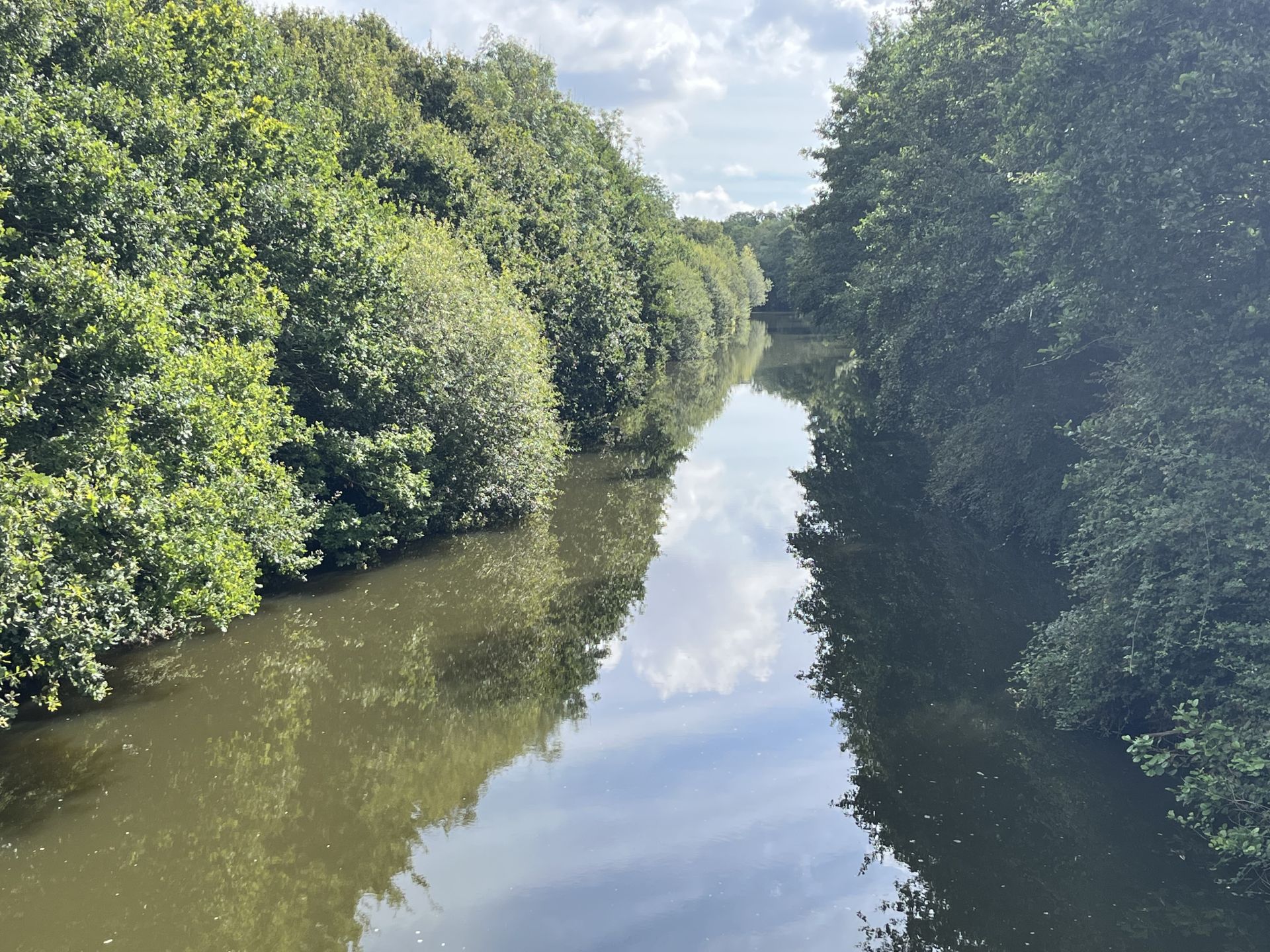 The River Medway