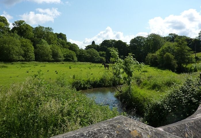 Pleasley3