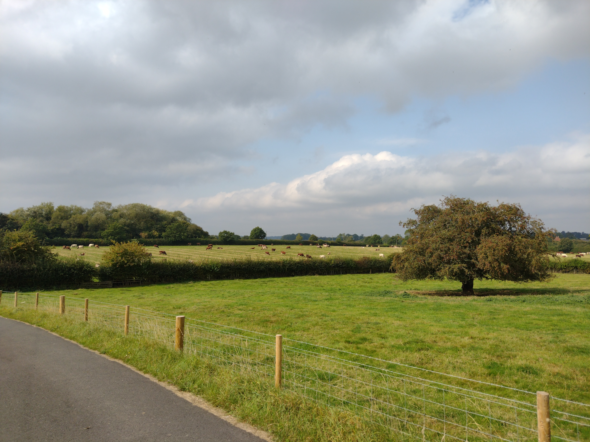 The image shows a road running alongside a field, with grassland and trees in the background. The sky is partially covered with clouds.