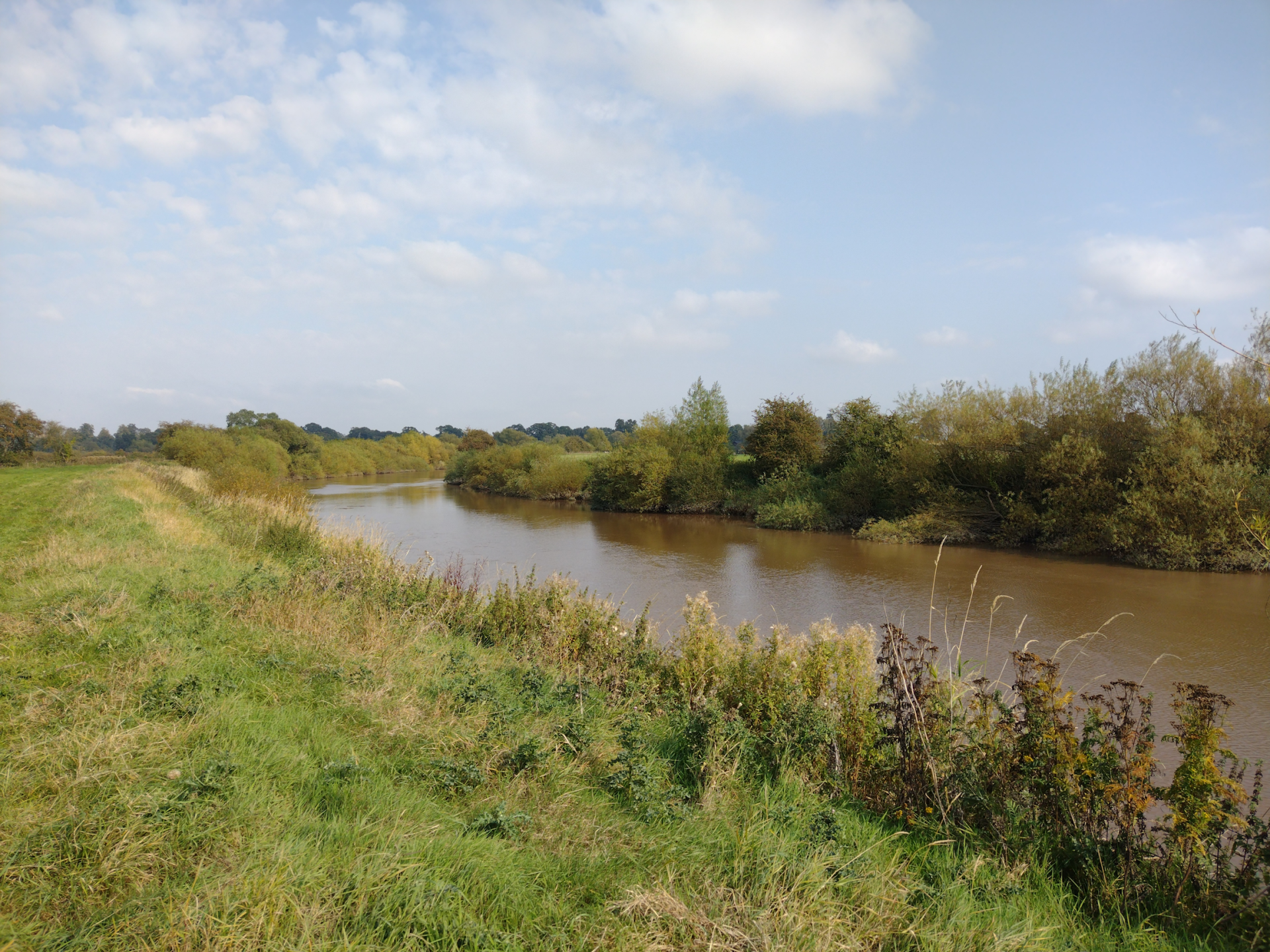 The image shows a river with grass and trees along its banks.