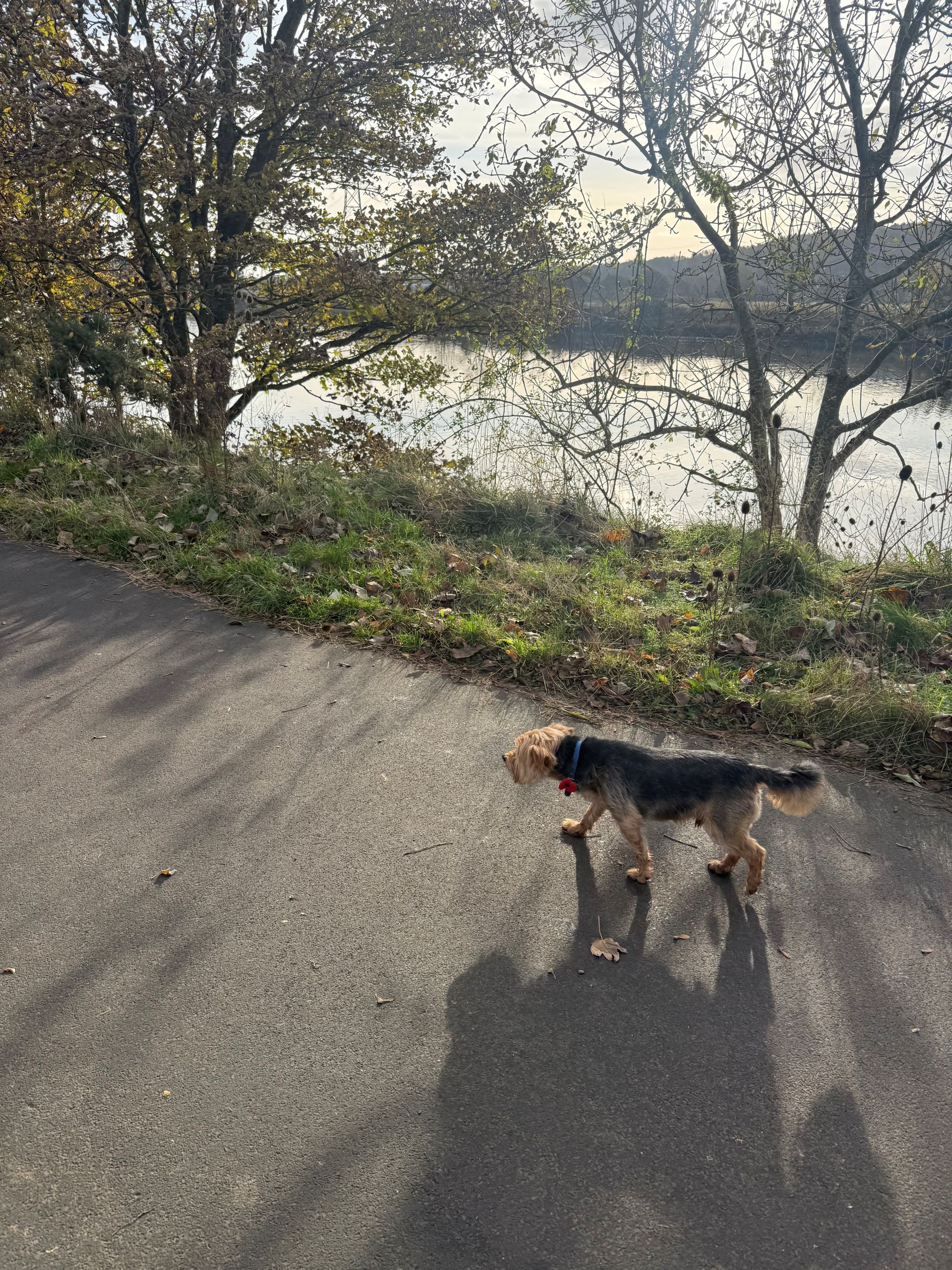 marley who has been to every healthworks health walk to date