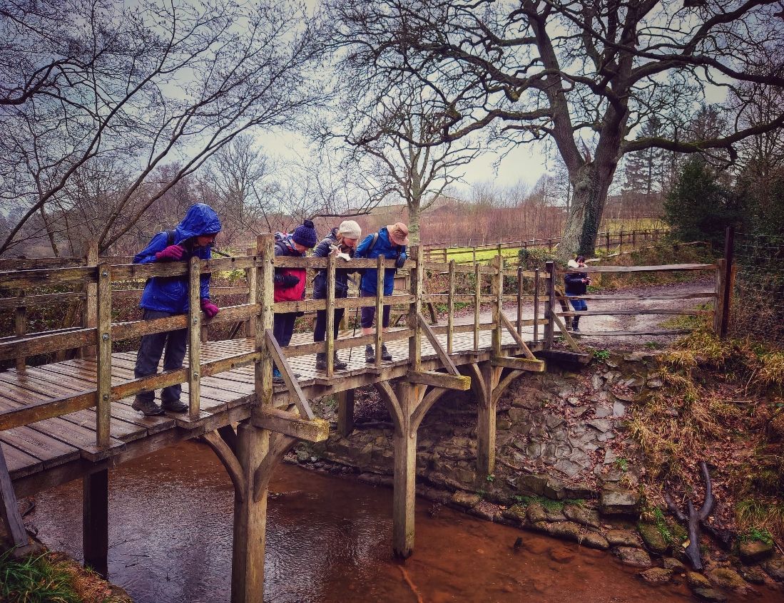 Pooh Sticks Bridge 
