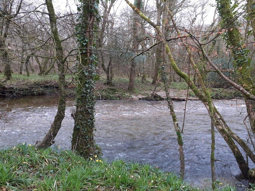 CIRCULAR LANHYDROCK WALK - Bookings Required - all welcome - Ramblers