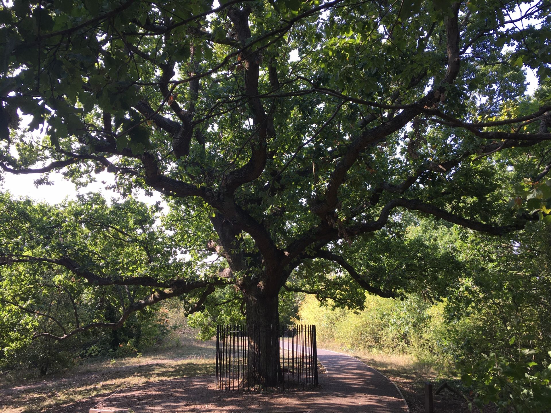 Brockley 3 Peaks, Blackheath and Greenwich Park walk - Ramblers