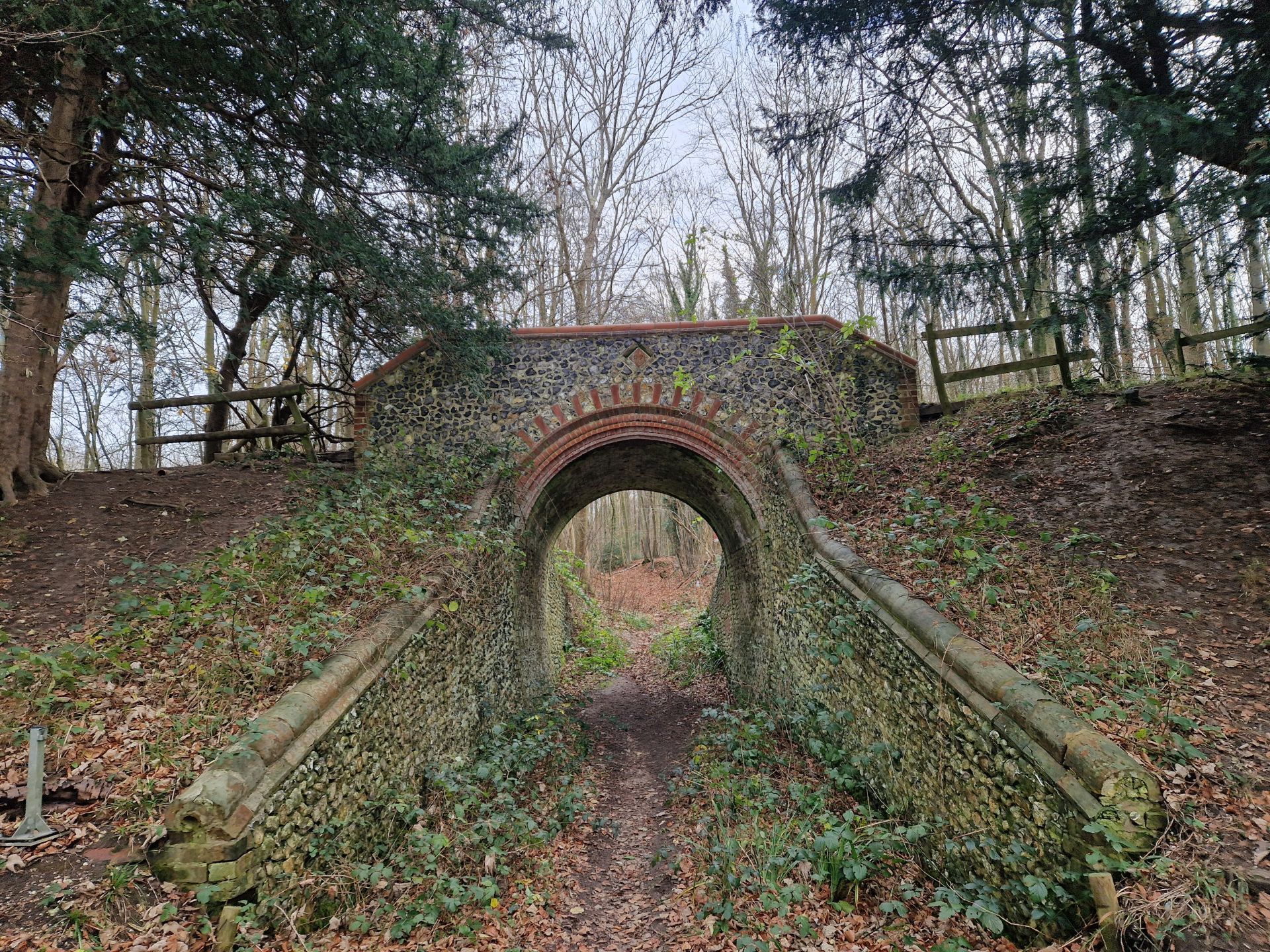 Not a Bridge Too Far - Walk from Sheepleas Car Park, Shere Road - Ramblers