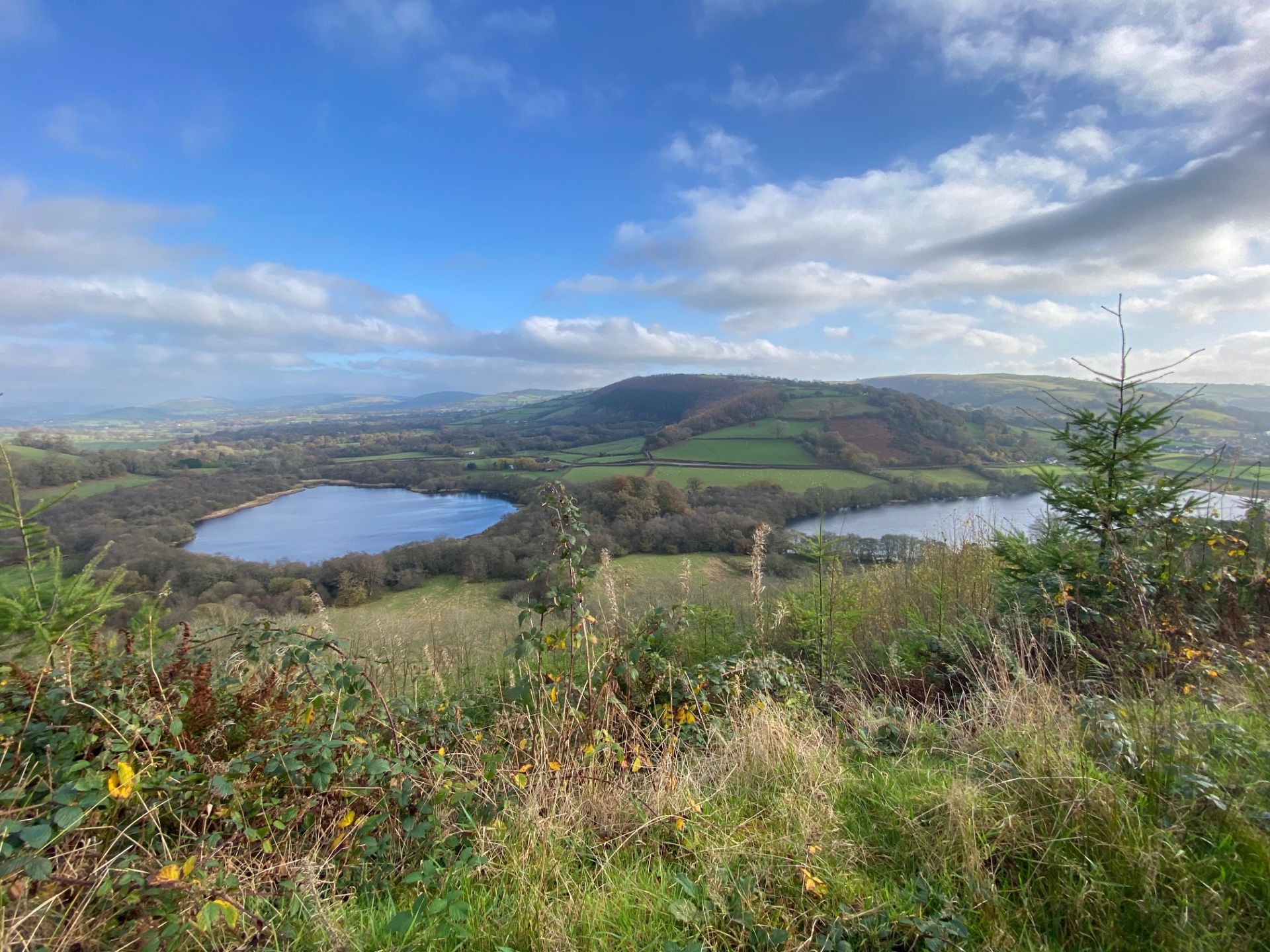 View of the Talley Lakes