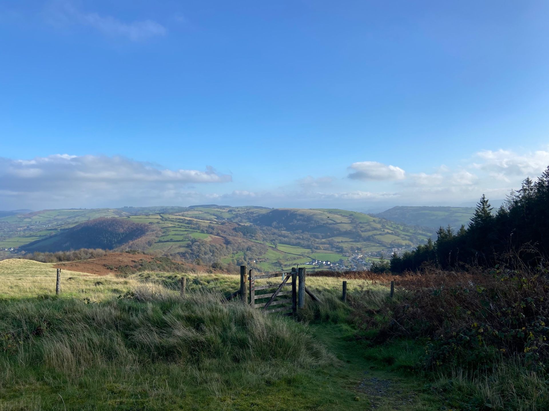 Panoramic viewpoint