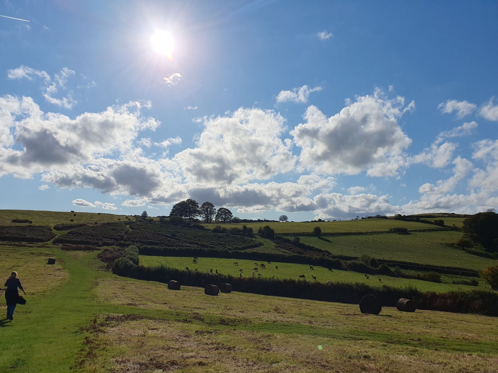 hills