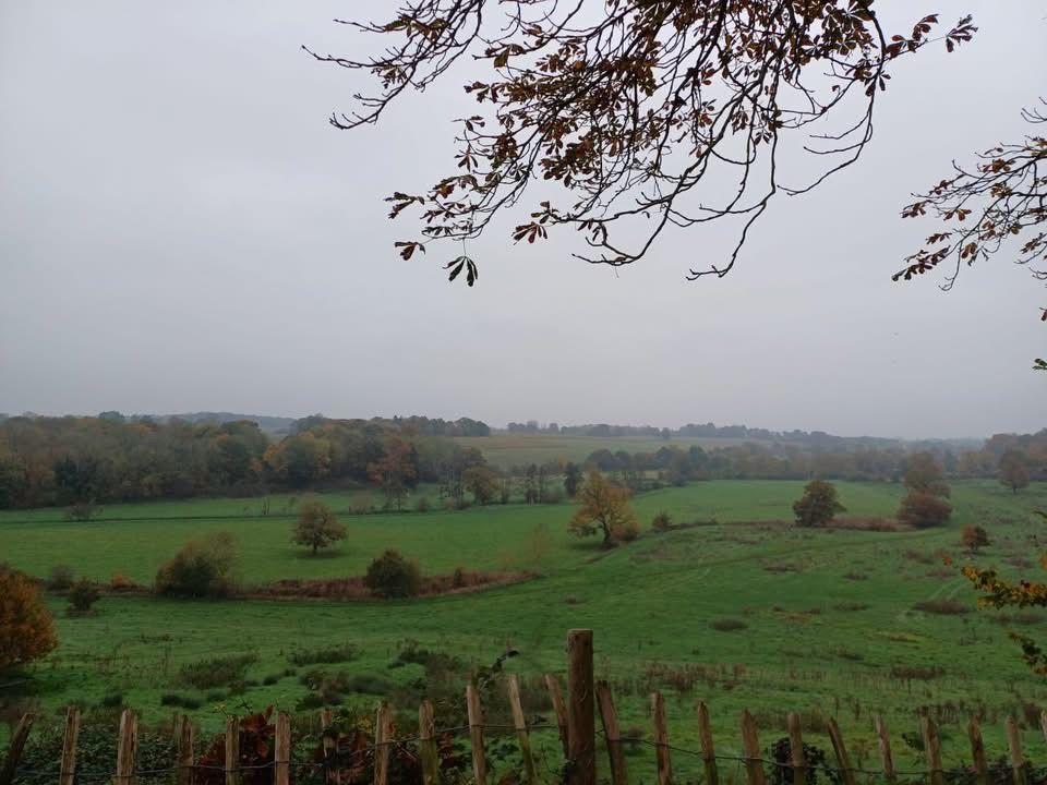 Ash Valley 