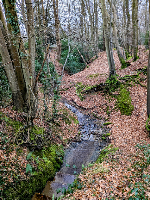 Stream leaving Fernhurst