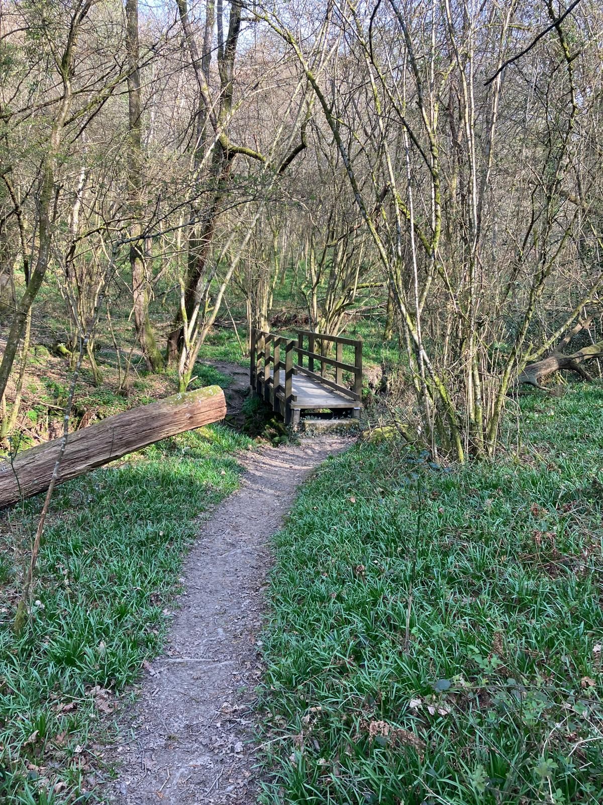 Chiddinglye Loop starting from West Hoathly - Ramblers