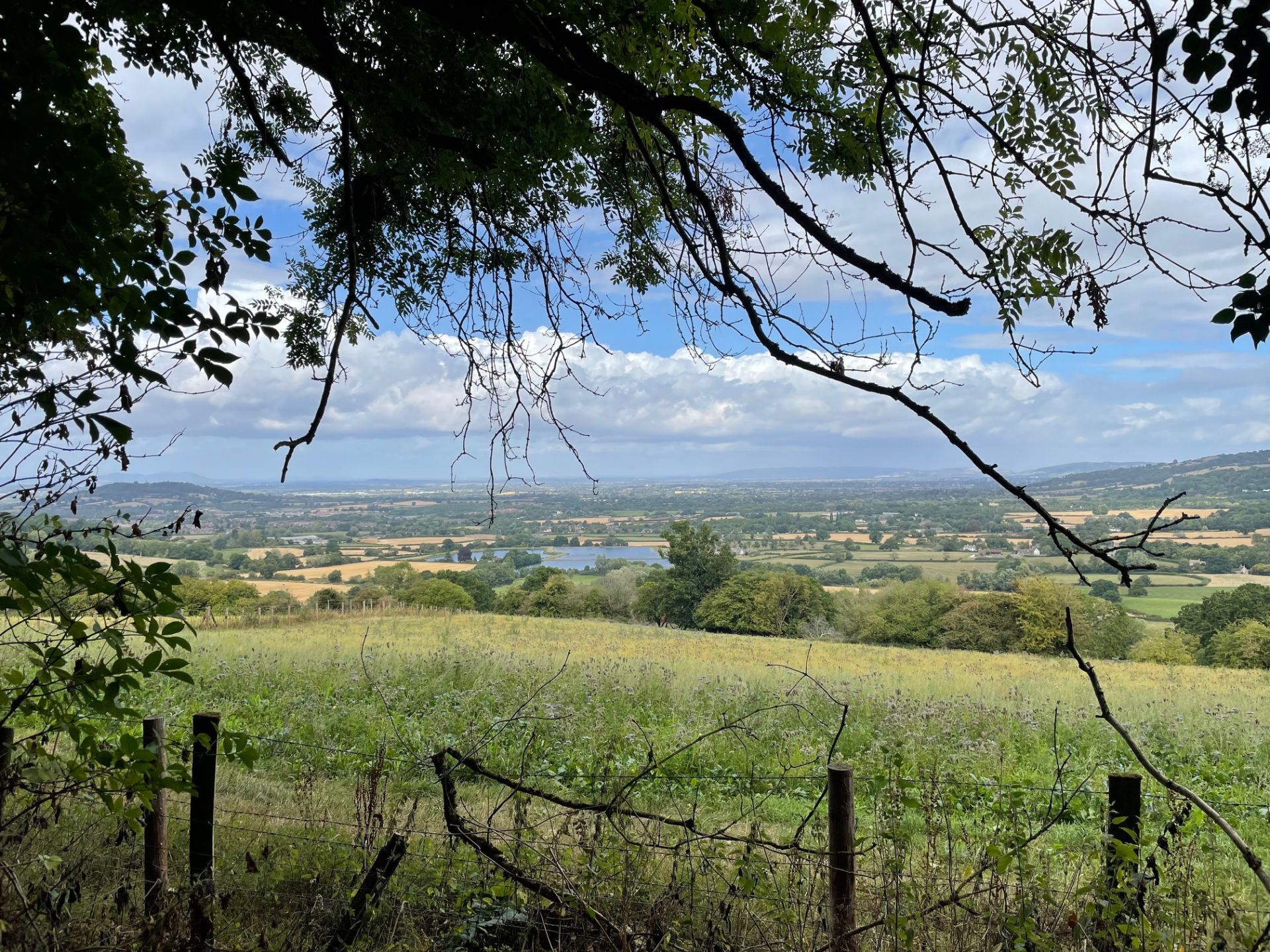Witcombe Witcombe to Cranham - Walking Together 2025 - Ramblers