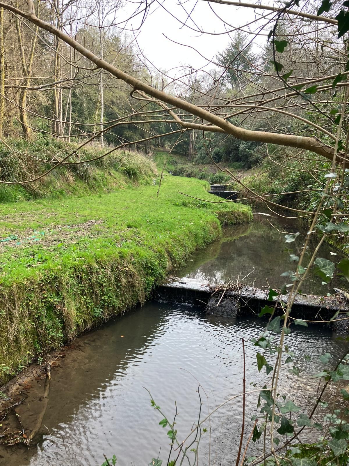 Chiddinglye Loop starting from West Hoathly - Ramblers