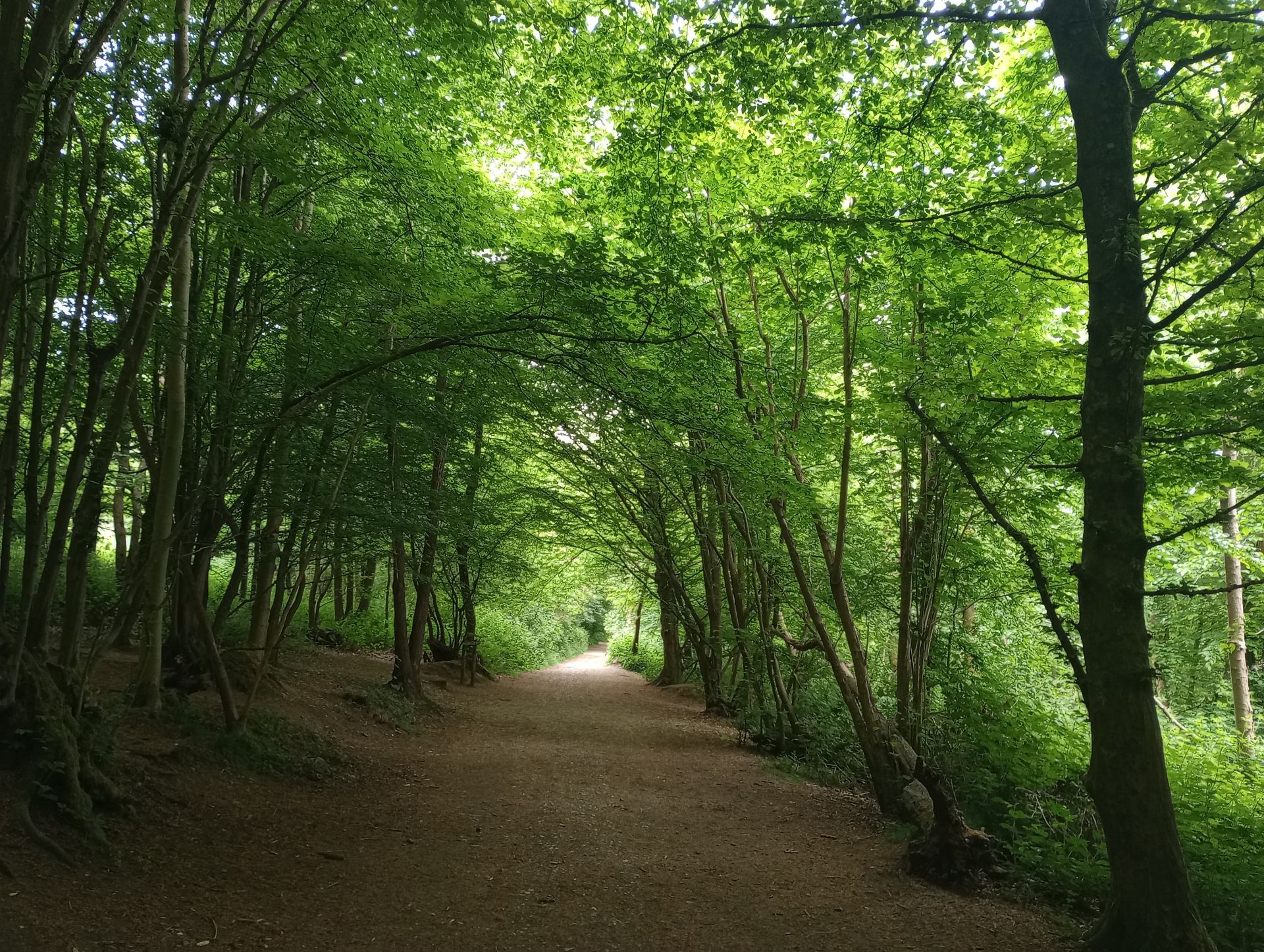 West Kent Walking Group - Trosley County Park