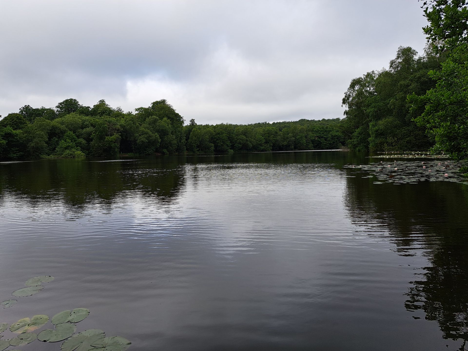 Furnace Pond, Slaugham.