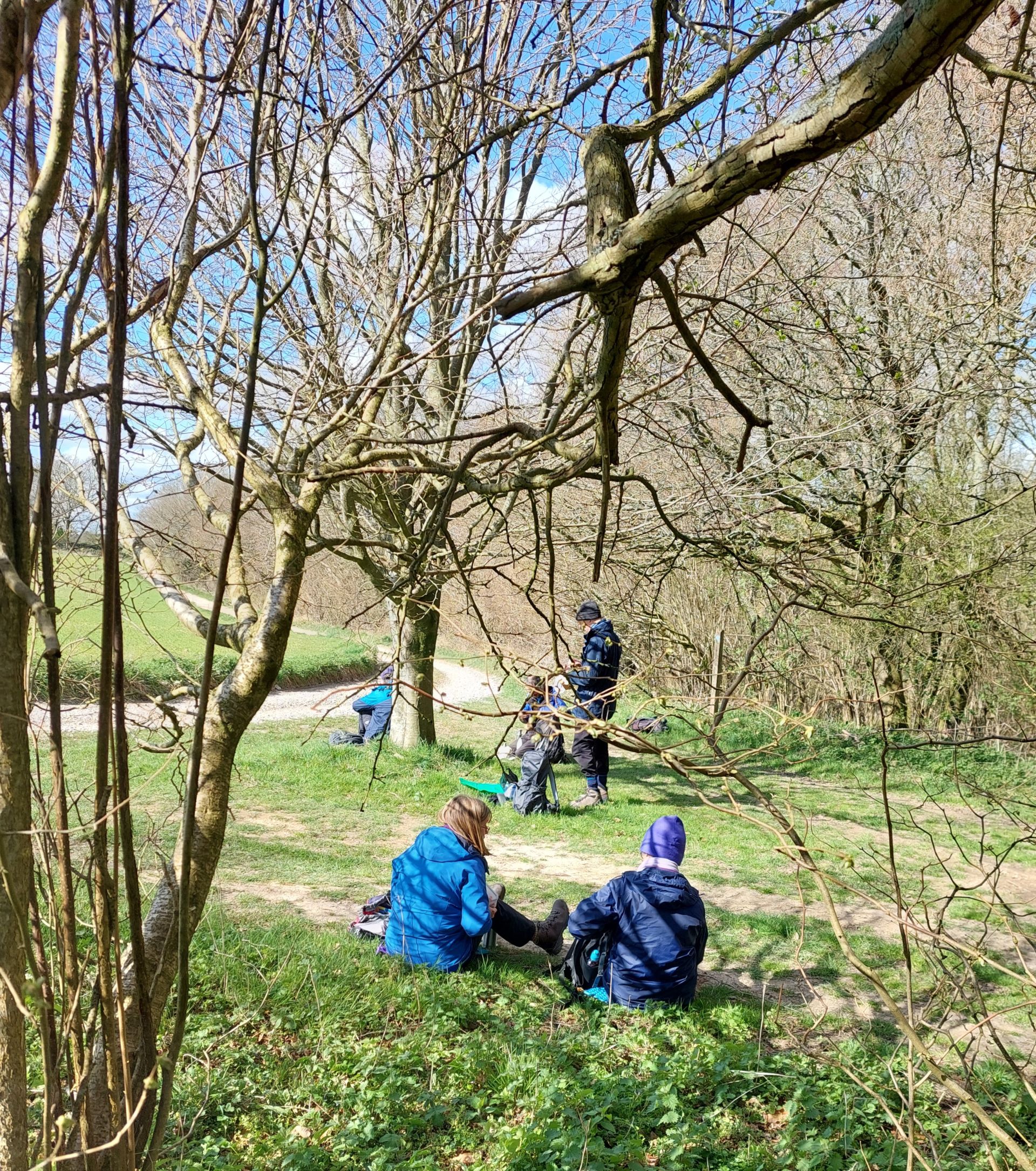 teabreak on Harting Down