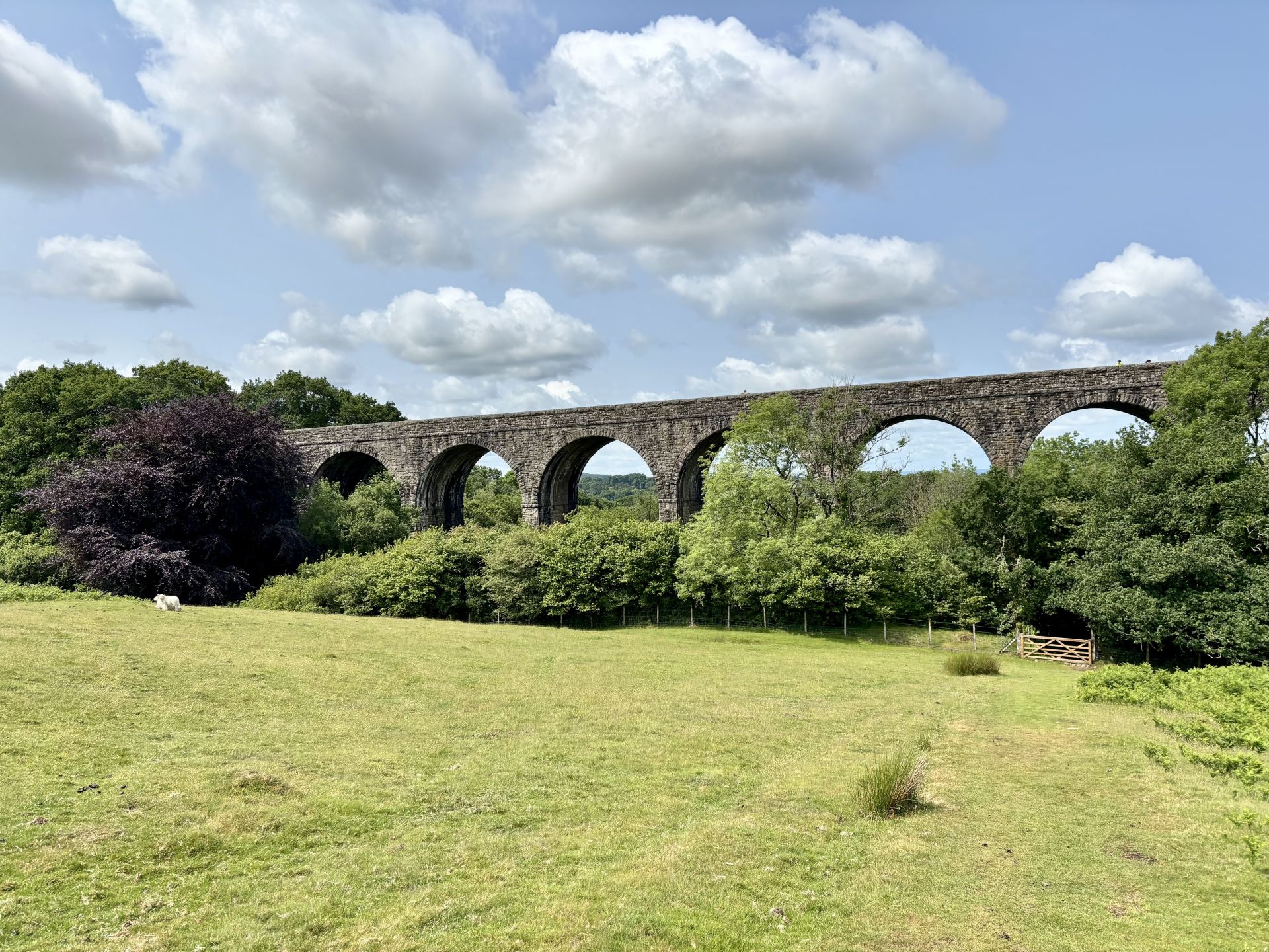 Lake Viaduct