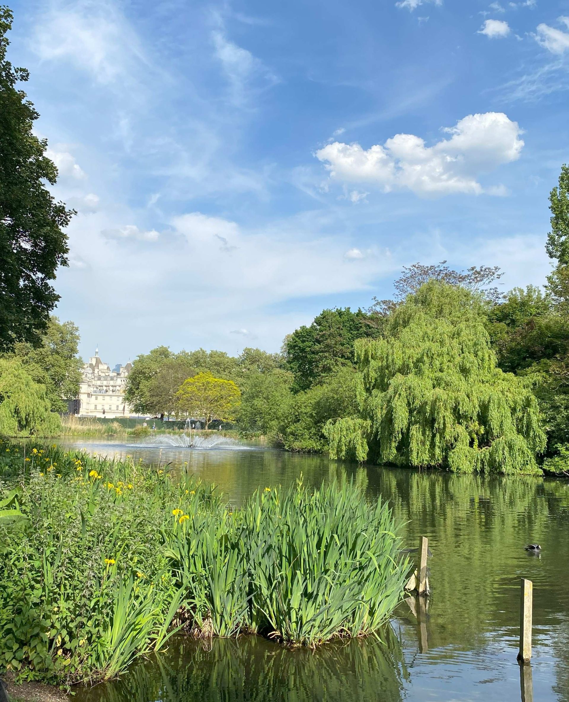 Royal Park Lake