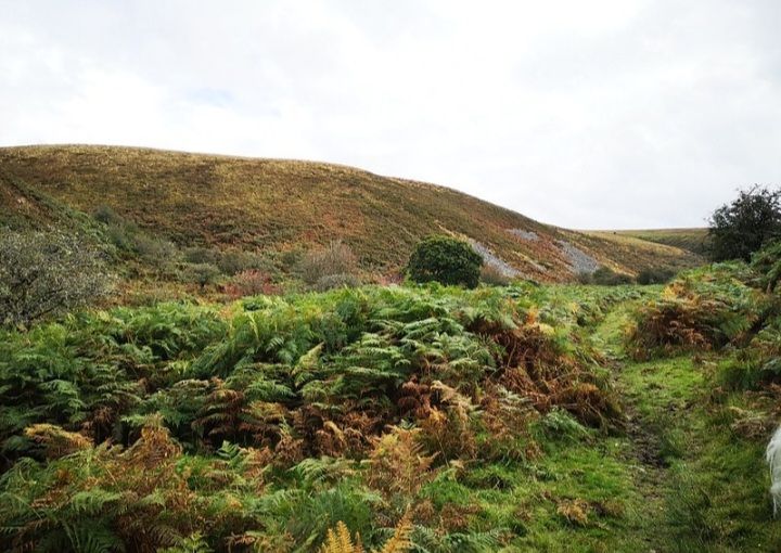 view over the moorland