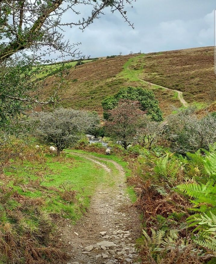 View over the moorland