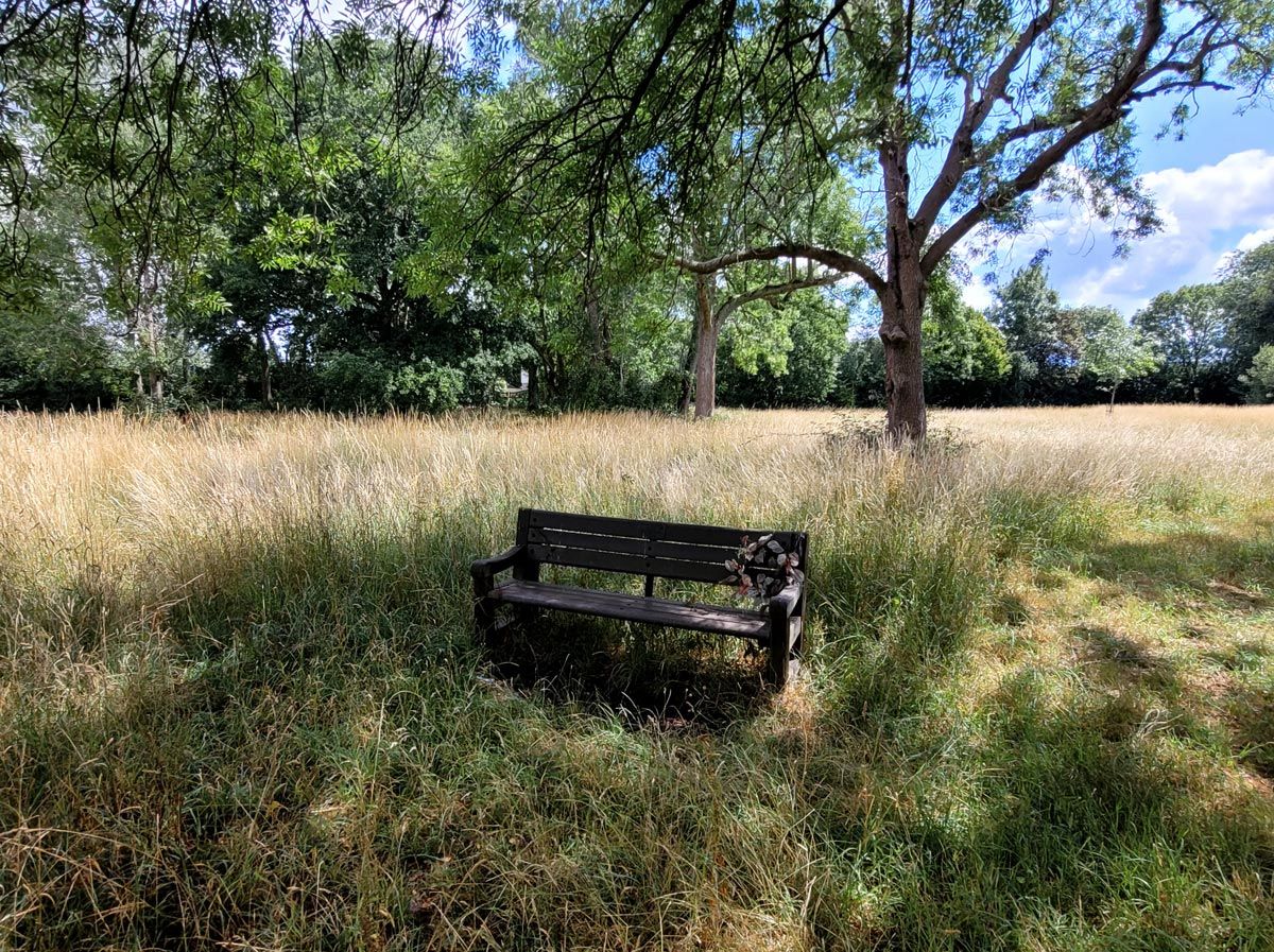 bench
