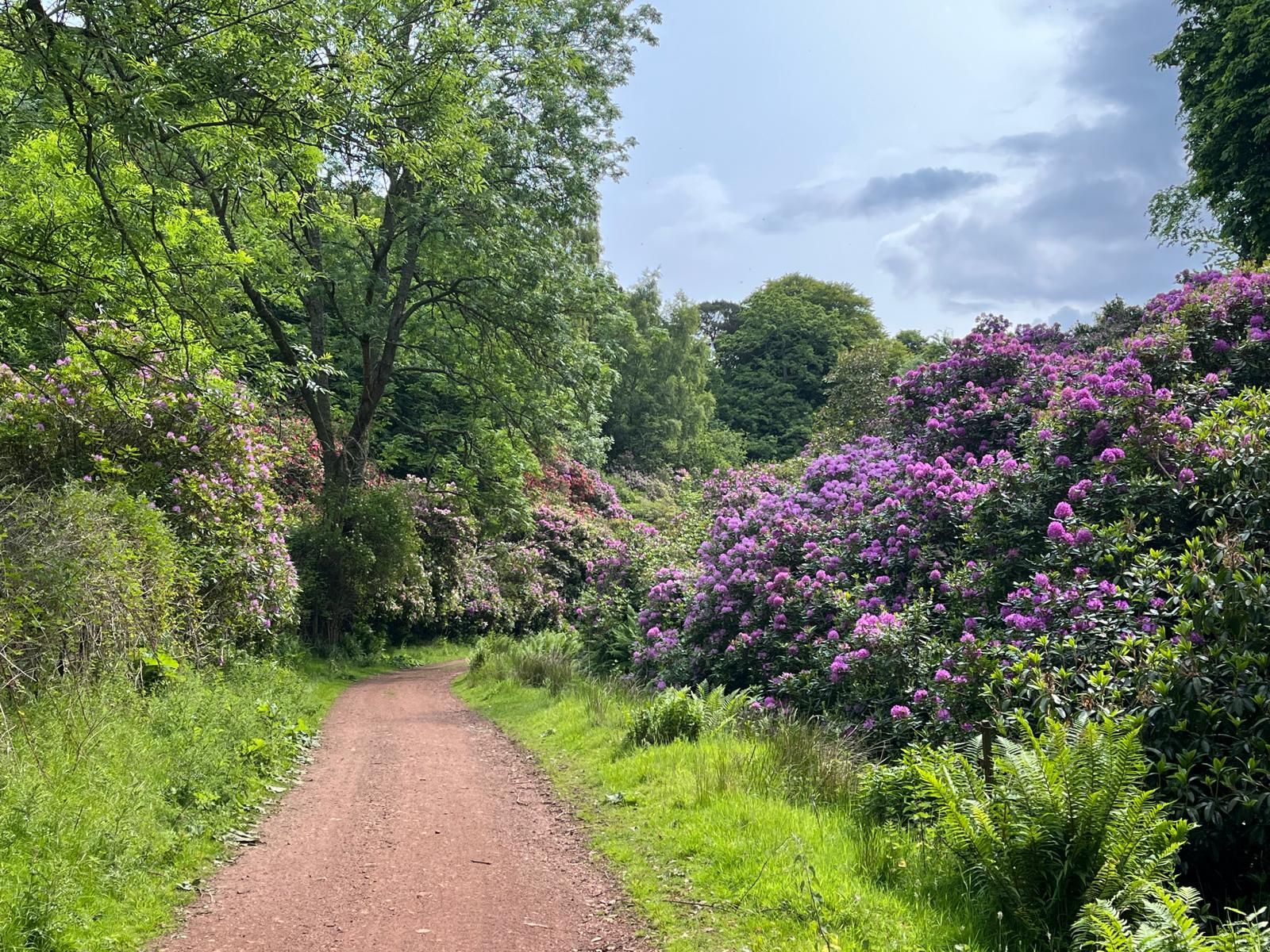 Walkway to Hopetoun House