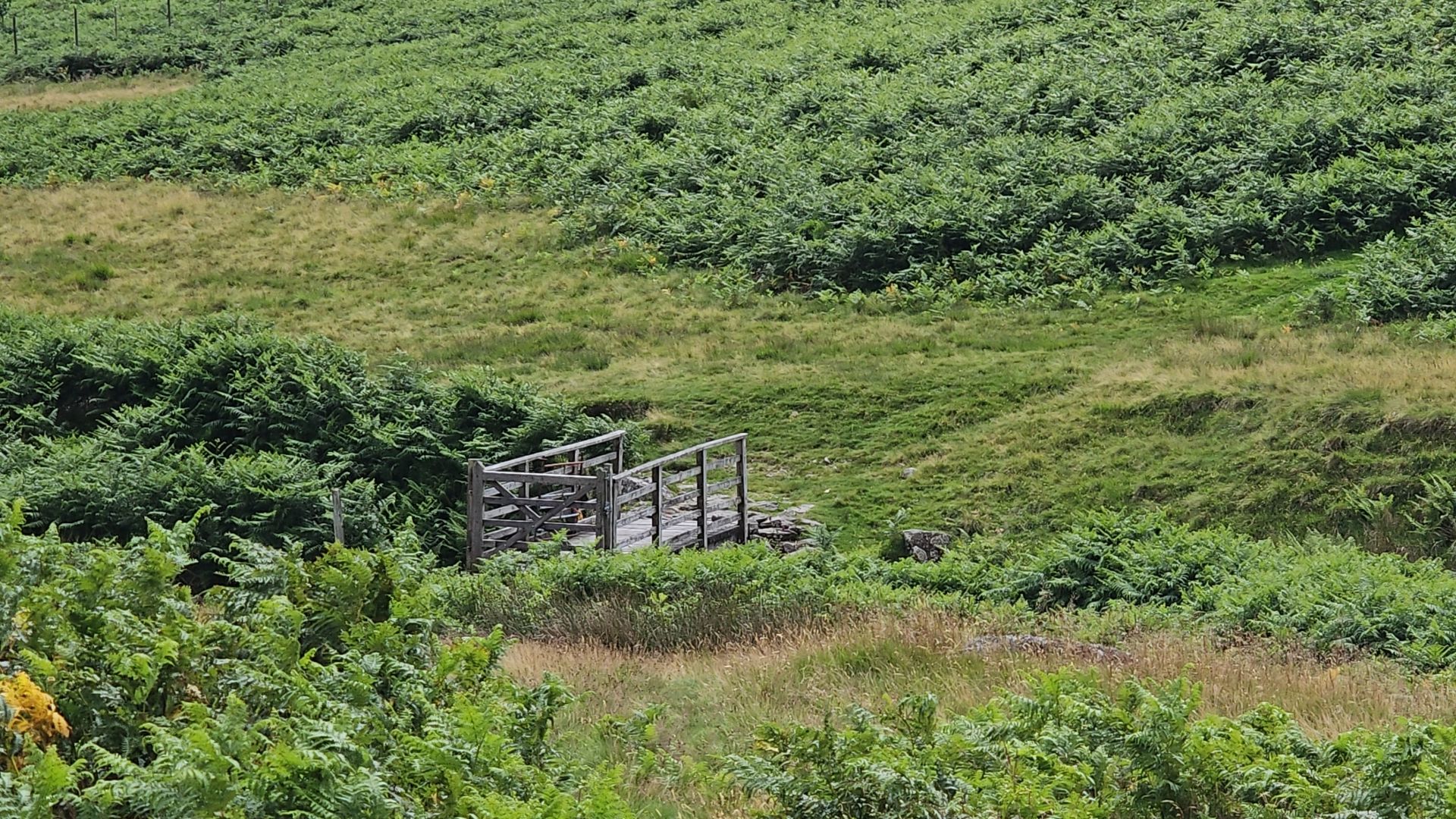 Bridge at Bampton Common