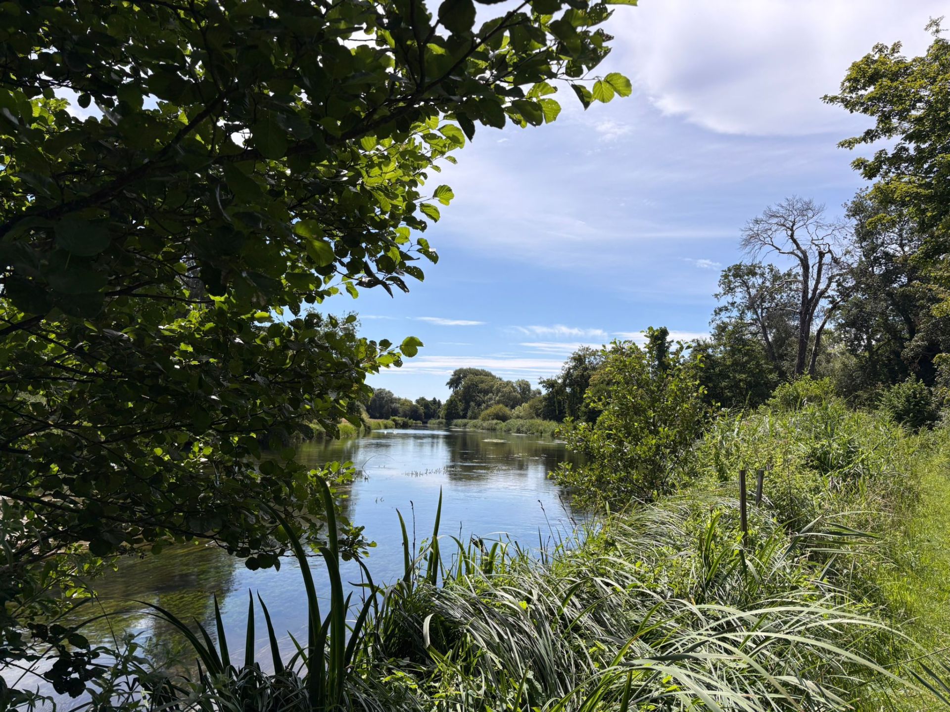 The Test River