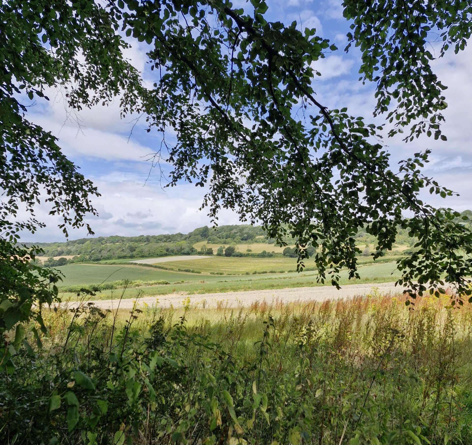 Downland view
