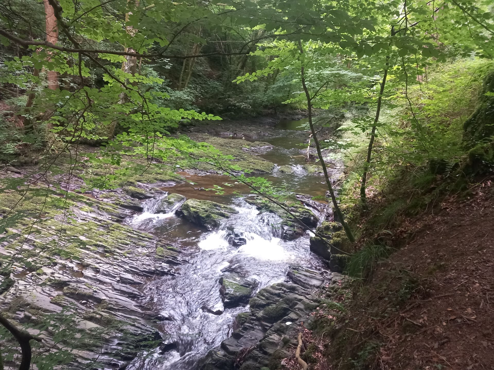 River Clywedog 