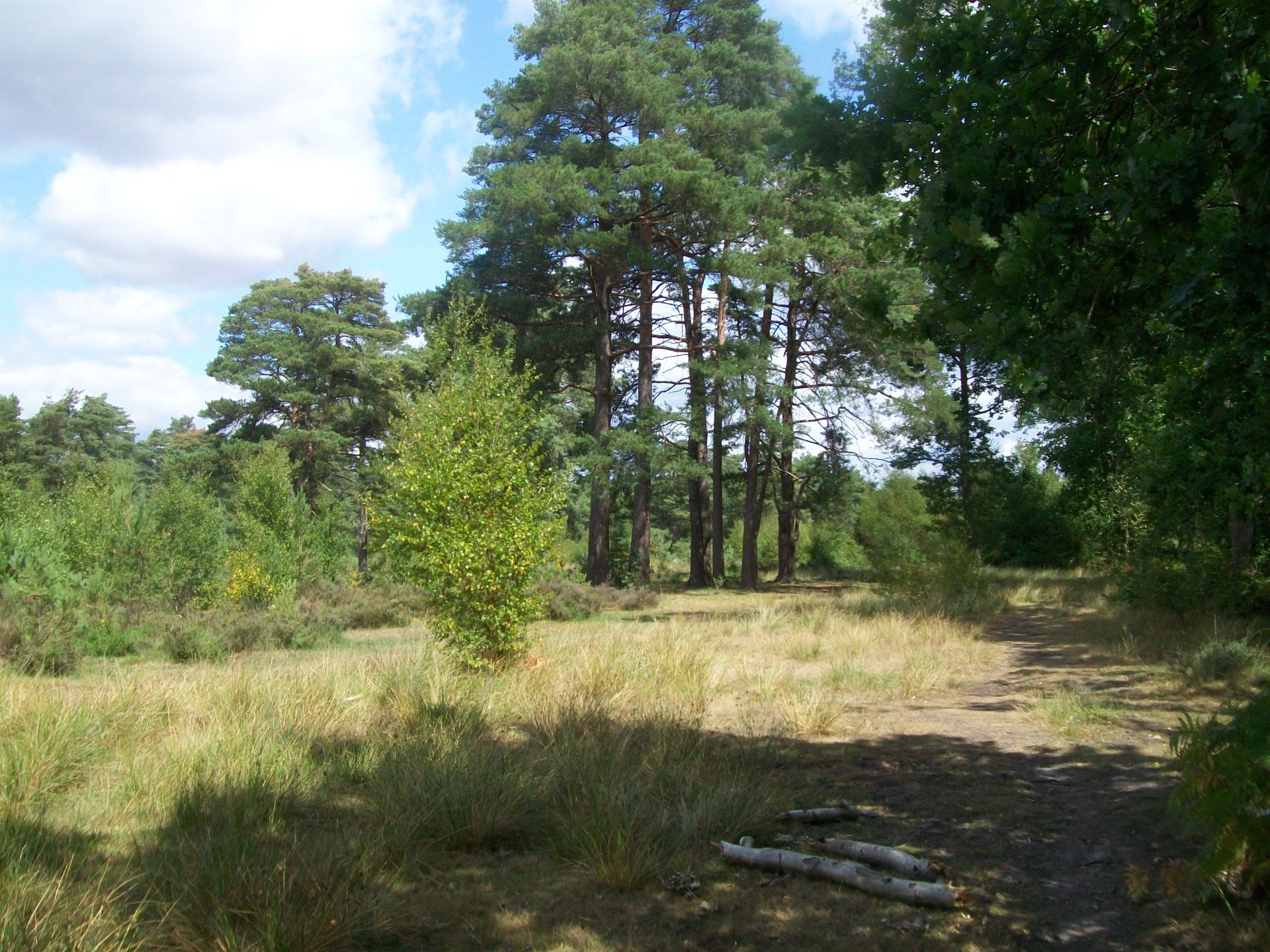 Stoke Common