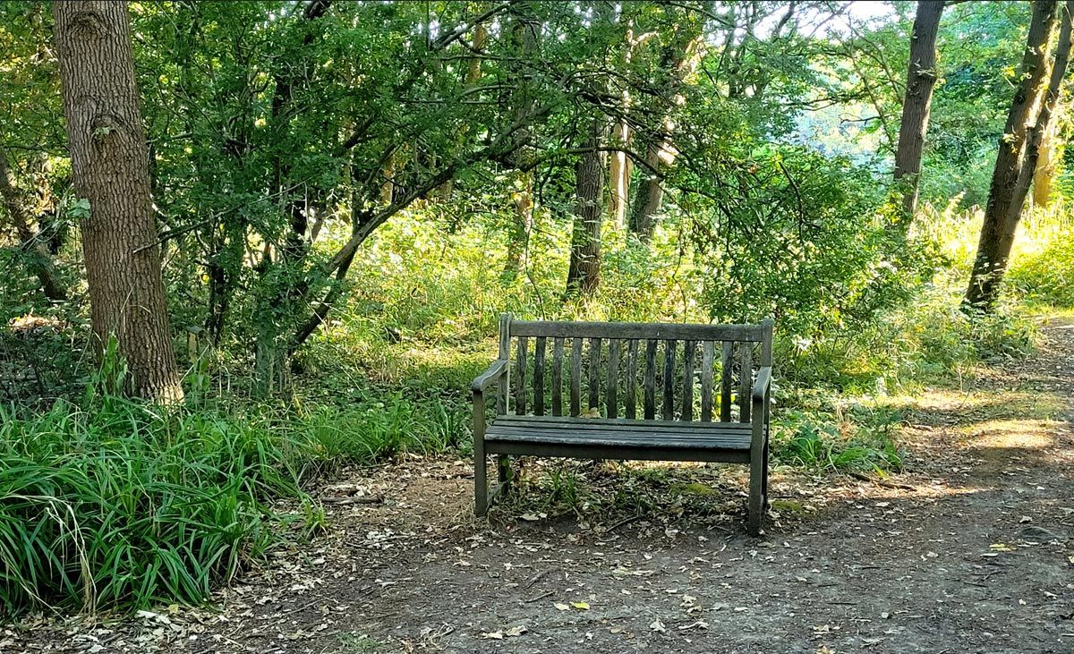 bench