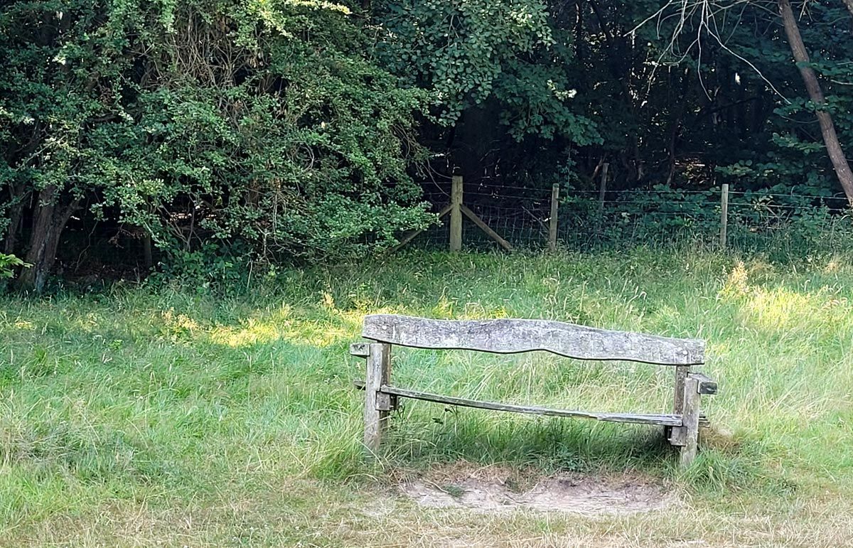 bench