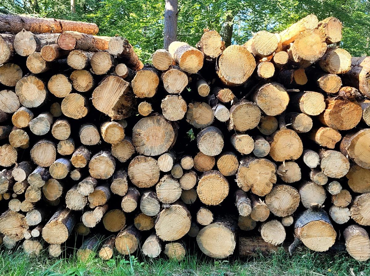 logs