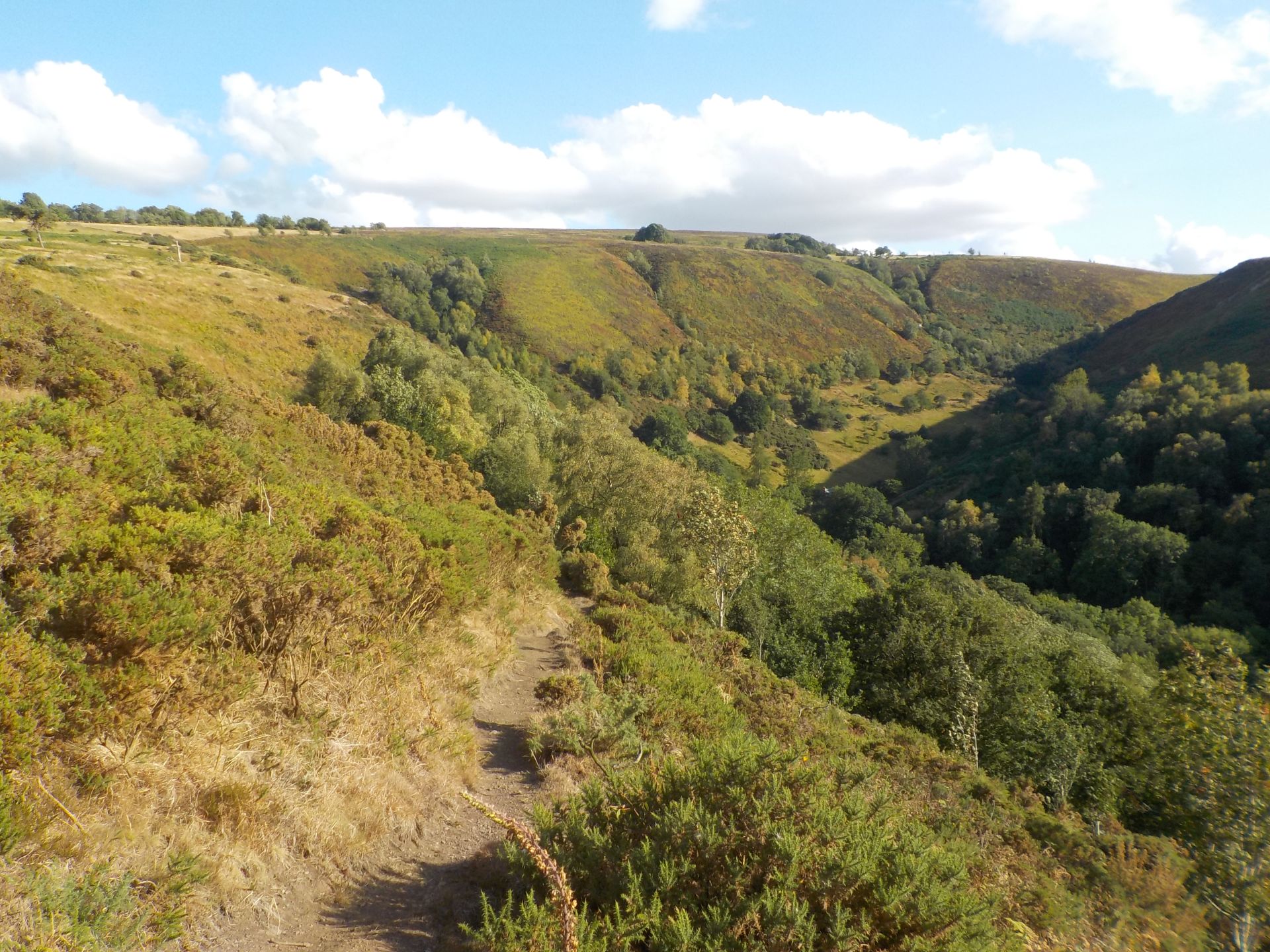 Stiperstones