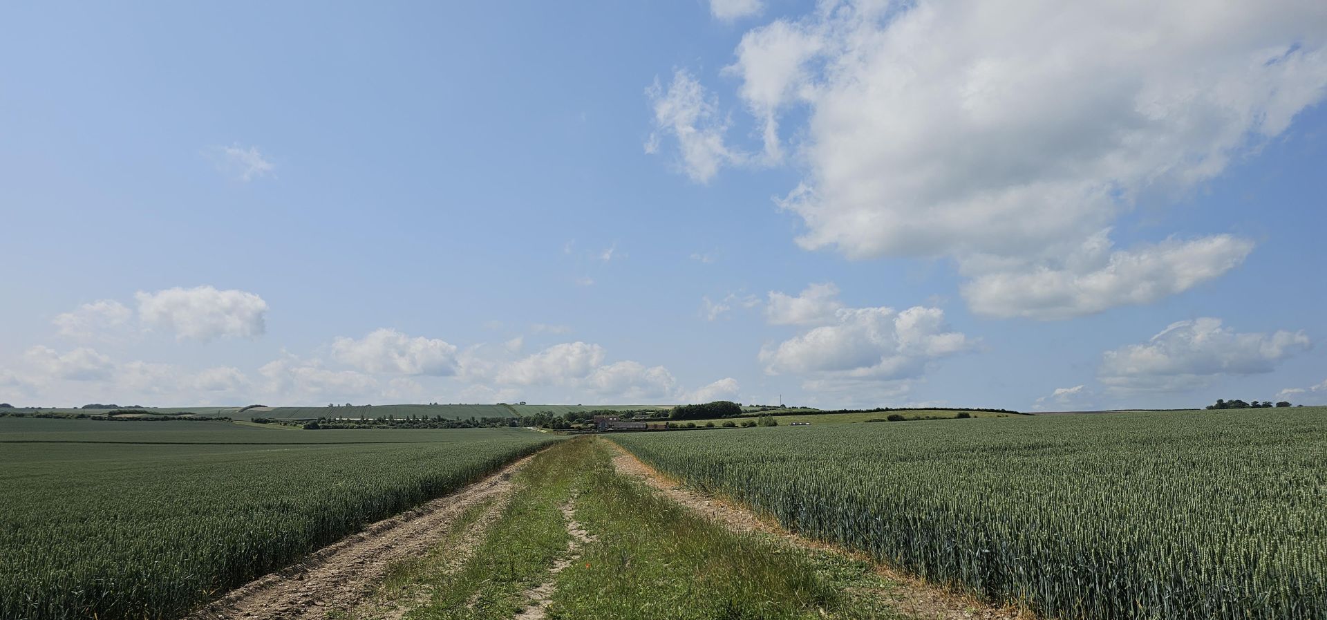A path and landscape