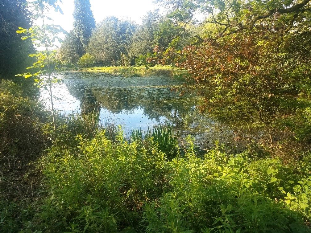 walk 1