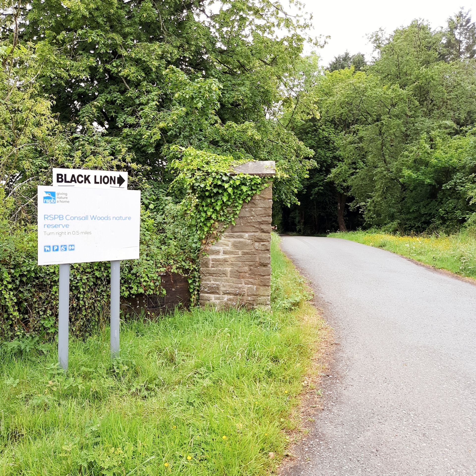 Look out for this route direction