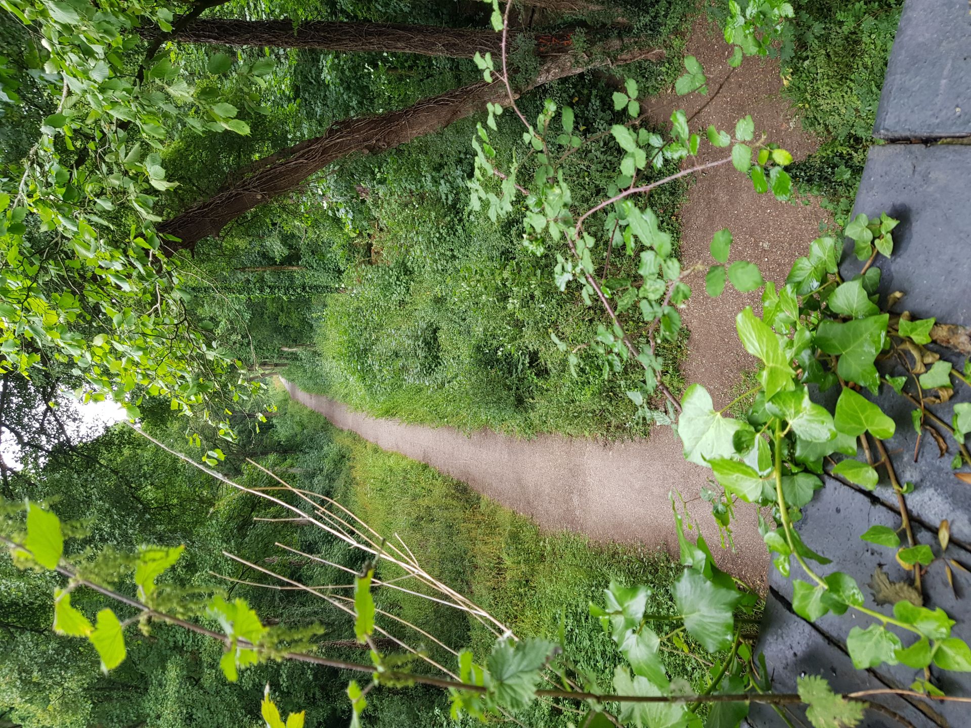 Meon Trail