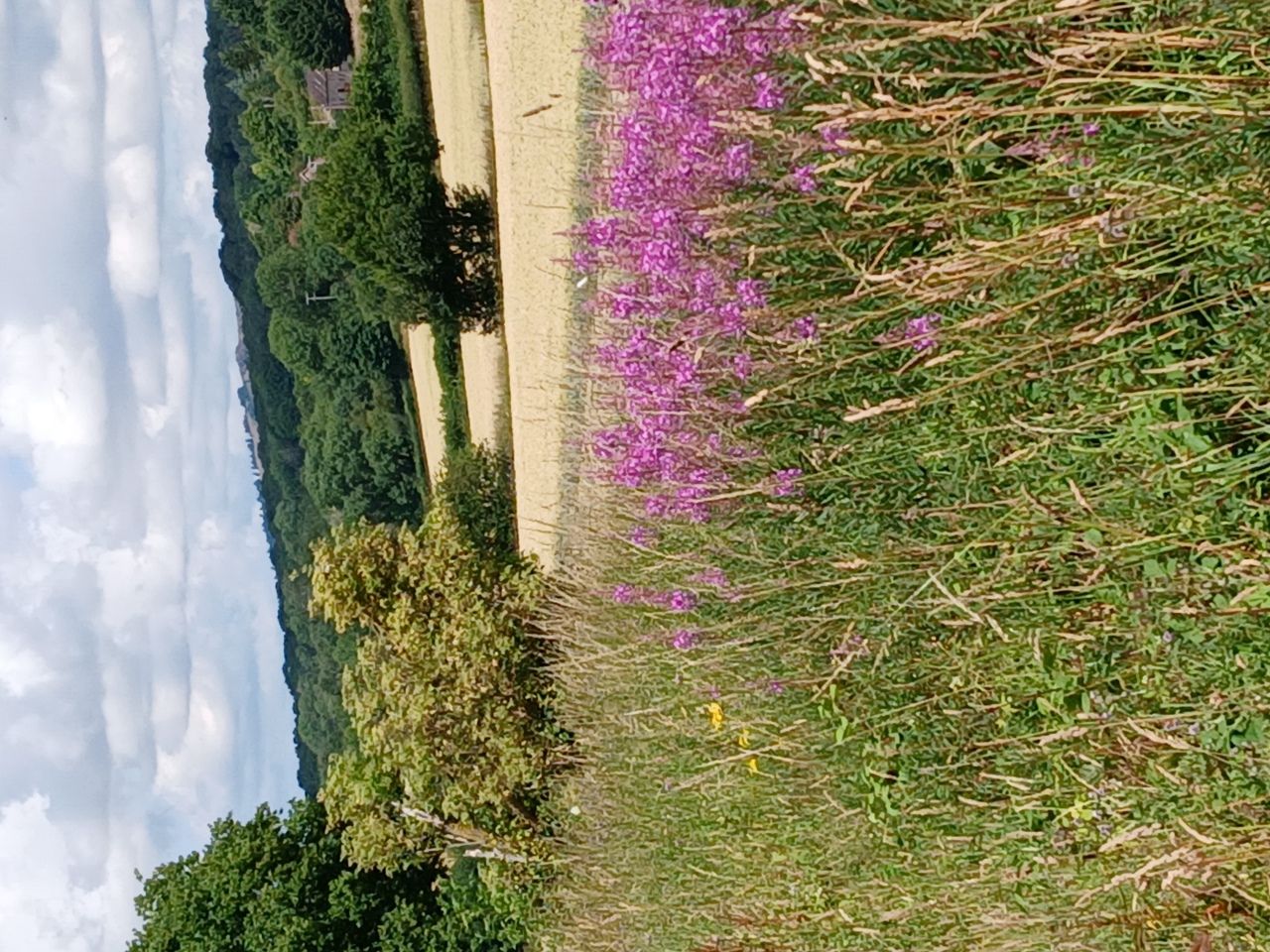A touch of colour