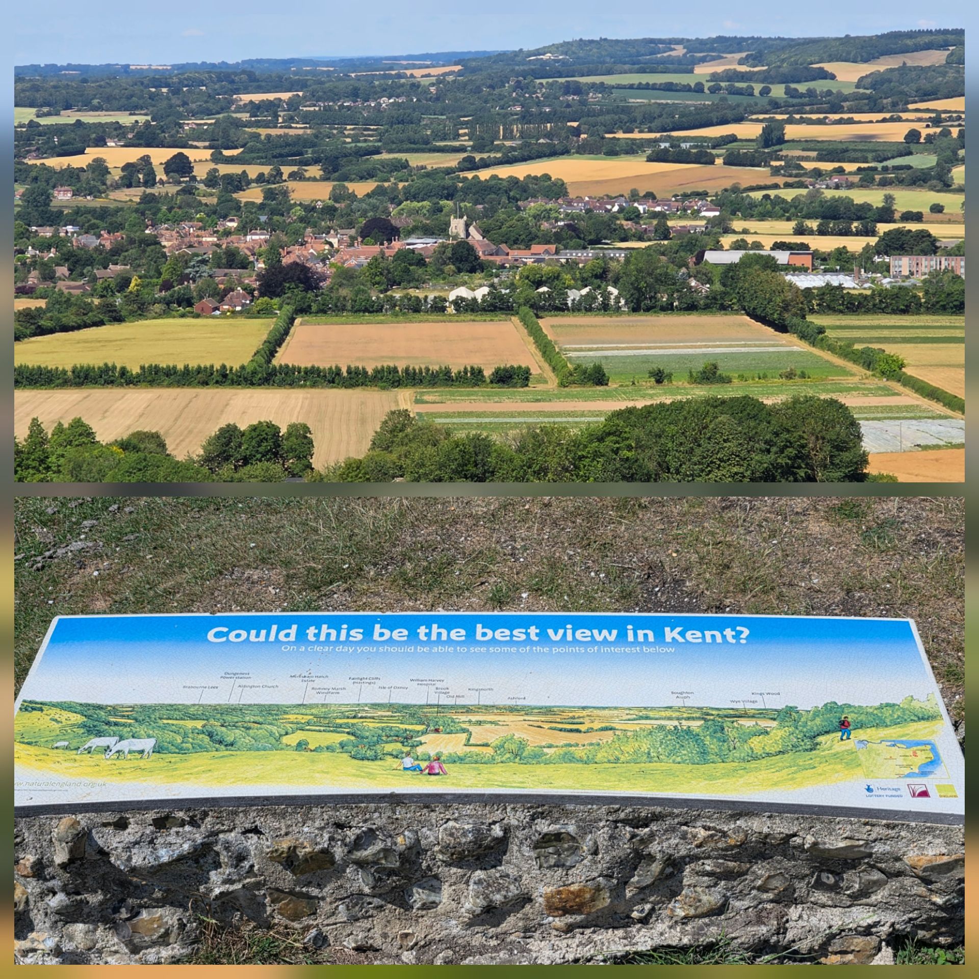 Broad Downs over Wye Nature Reserve