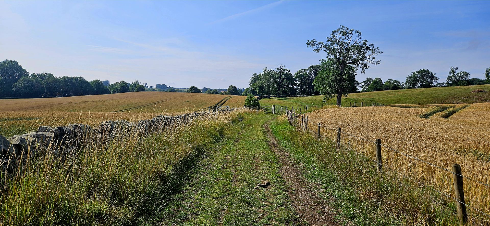Another field
