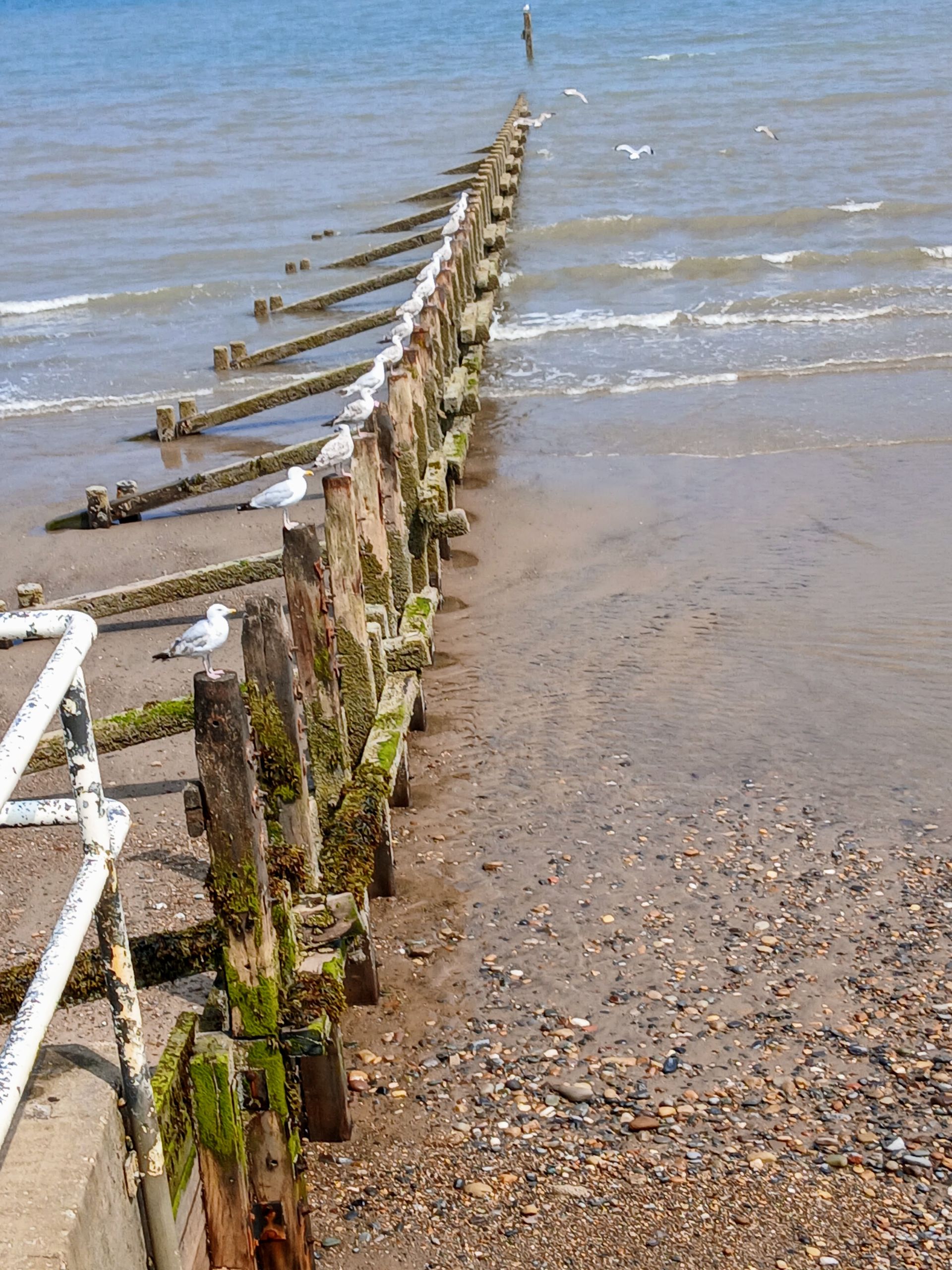 Hornsea  18/7/25