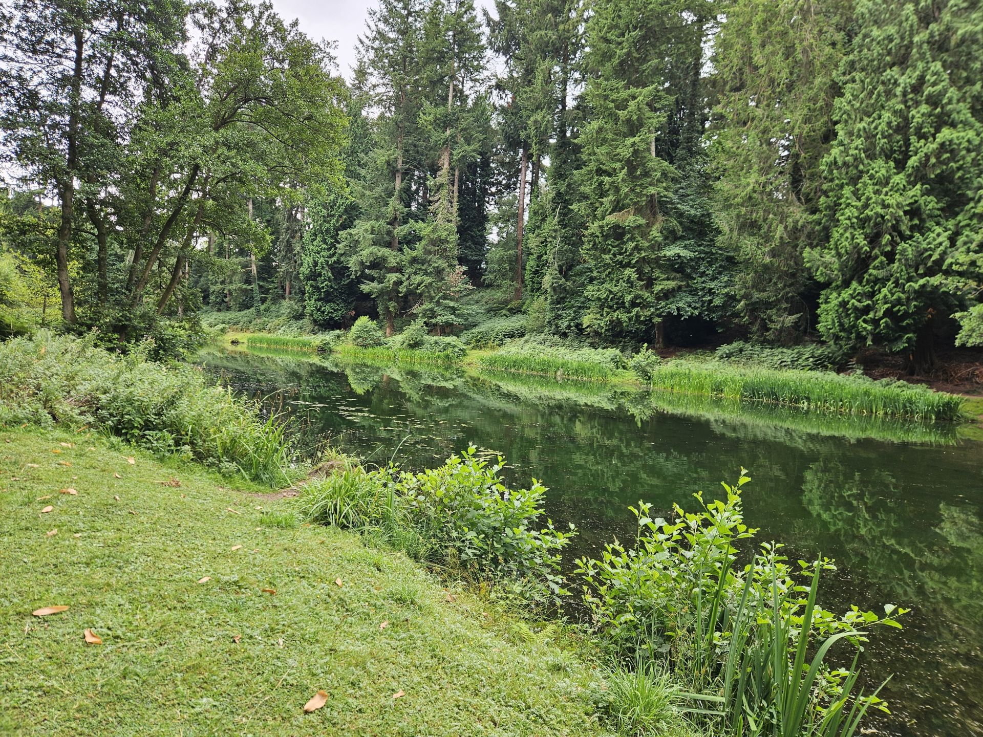 Soudley ponds