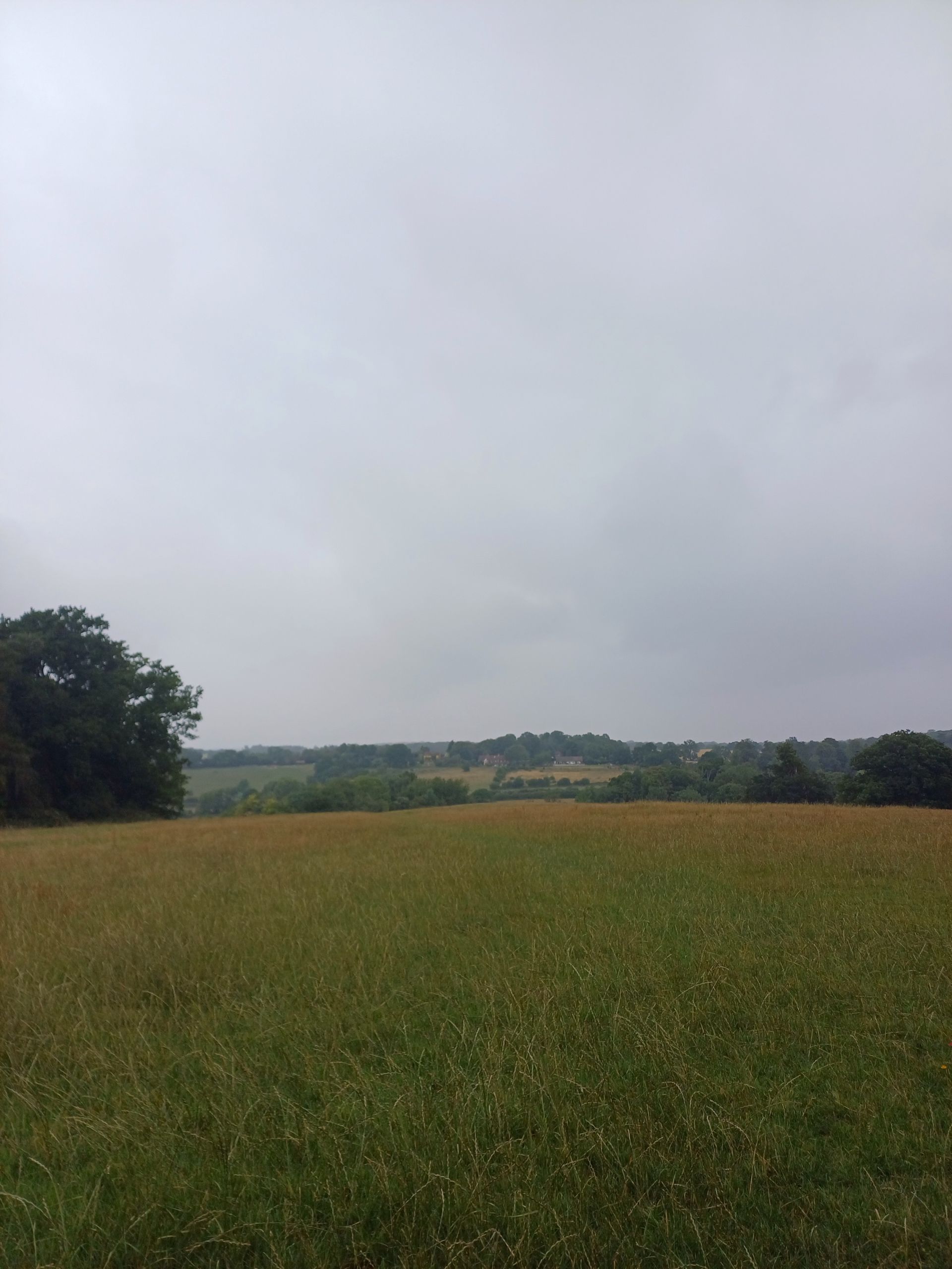 View over fields
