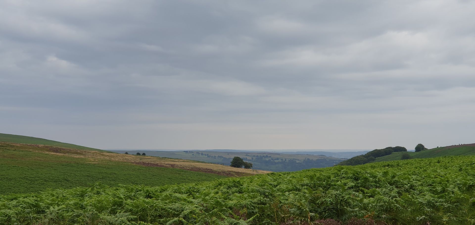 View East from the top of Cwm Ffrwd